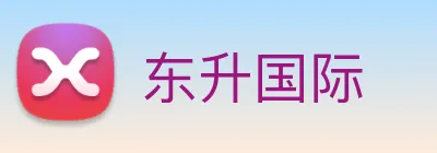 东升国际 logo